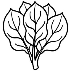 Malabar Spinach in Line Art Vector Illustration