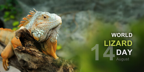 World lizard day