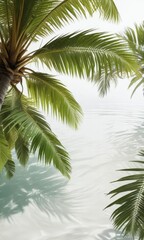 Coconut palm tree's leaves and branches on a white background in a shallow pool of water , solo, tree