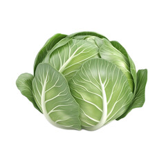 Obraz premium Vibrant Cabbage Close Up Nutrient Rich Vegetable for Healthy Cooking and Dining