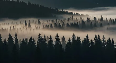 Dramatic Shadows in the Woods Generative AI