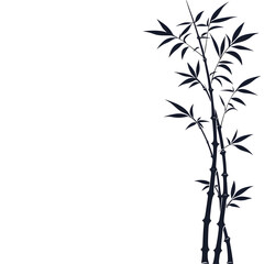 Fototapeta premium Elegant Bamboo Plant Silhouette Against a Soft Background