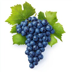Fototapeta premium Fresh blue grapes with leaves on white background close-up