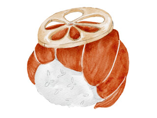 水彩で描いた和食の手毬寿司のシンプルな日本食のイラスト素材