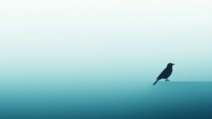 Fototapeta premium Serene Bird Silhouette on Teal Gradient - Peaceful bird, tranquil scene, minimalist design, subtle colors, nature's serenity.