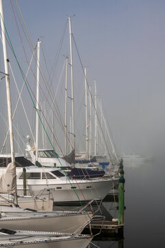 yachts bows moorings heavy foggy morning