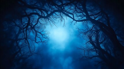 Night Forest Moonlit Scene - Silhouetted bare trees frame a bright moon in a dark blue night sky.  Eerie and atmospheric.