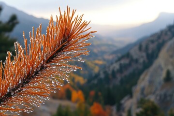 Ice-covered pine needles glisten, showcasing autumnal mountain backdrop.