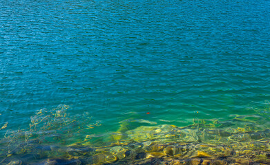 The tranquil transparent waters of river in the background. Beautiful nature lake. Landscape Reflection off of a clear lake water surface on a bright sunny day. Calm river in the forest.