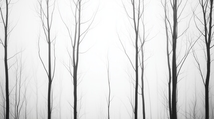 Misty Winter Trees: A minimalist black and white photograph depicting a row of slender, leafless trees shrouded in a dense, ethereal fog, creating a moody and atmospheric scene.