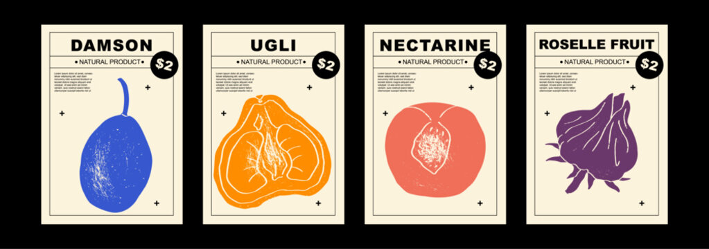 Damson, ugli, nectarine, rosselle fruit. Set of posters of fruits and citrus in a abstract draw design. Simple, flat design. Patterns and backgrounds. Perfect for poster, cover, banner.