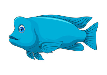 Illustration of a Napoleon fish on a white background, vector illustration