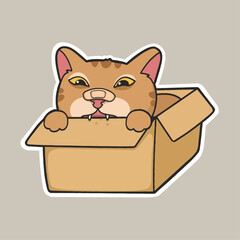 Cardboard Cat Meme Sticker Vector Cute Illustration