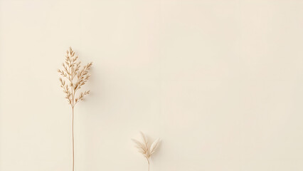 Minimalist Compositions
Focus on simple, clean designs with lots of negative space. Think single objects on plain backgrounds.