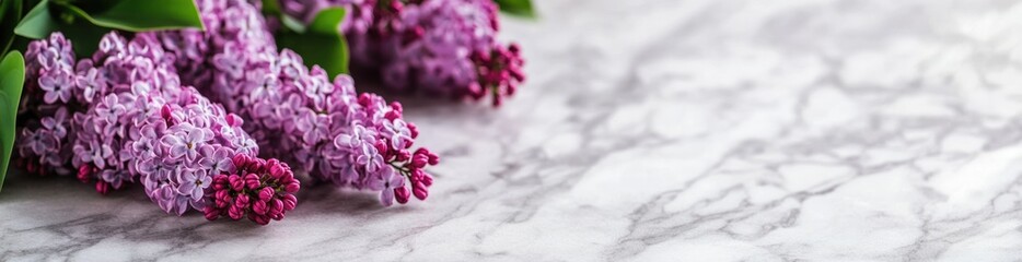 Purple lilac flowers on marble background.