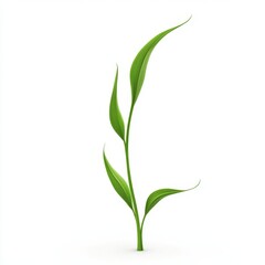 Obraz premium Single Green Leaf Isolated on White Background for Natural Themes