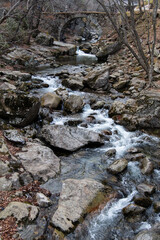 flowing stream in the valley