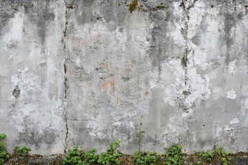 Weathered Concrete Wall with Plants, Showing Signs of Age and Decay, Urban Nature Theme
