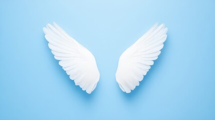 Obraz premium Delicate white wings resting against a soft blue background evoke feelings of freedom and serenity, reflecting a sense of ethereal beauty and lightness in a minimalistic setting