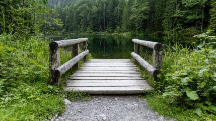 Wooden bridge to tranquil forest lake
