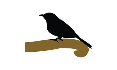 Blue Flycatcher Bird Silhouette Design  And Vector Illustration. 