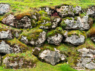 Lush green moss on weathered stone wall in nature