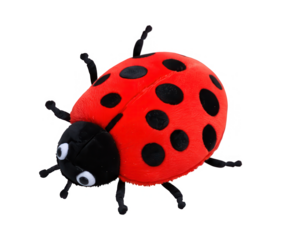 A soft, plush toy ladybug with red wings and black spots, designed for toddlers to cuddle and explore, isolated on a transparent background