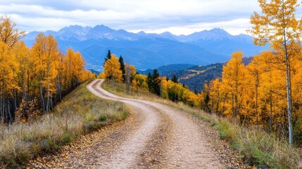 Naklejka premium Autumnal Mountain Road with Golden Aspen Trees