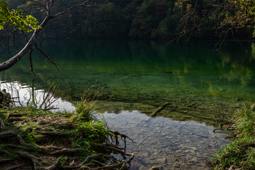 Idyllic panorama of spring summer nature. The tranquil transparent waters of lake in the background. Beautiful nature lake. Landscape Reflection in clear lake water surface. Calm river in the forest.