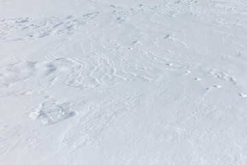 The snow is white and the ground is covered in it