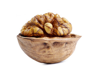 walnut