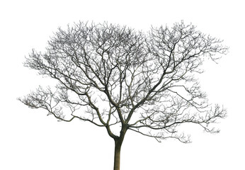 Withered