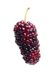 blackberries
