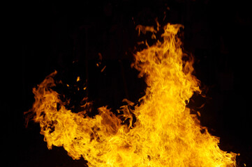 Burning flames on a black background.
