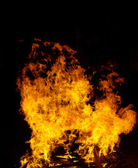 Burning flames on a black background.
