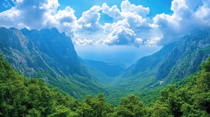 Obraz premium Mountain Valley Scenery Under a Sunny Sky