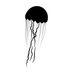 animal, aquatic,  jellyfish silhouette, jellyfish vector, 
