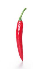 Red chili pepper, isolated on a white background.