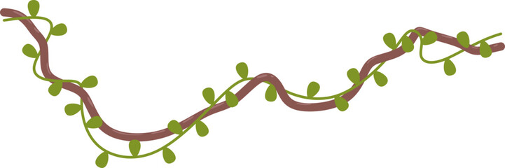 Tropical hanging vine