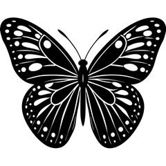 butterfly silhouette vector