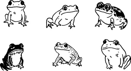 Illustrations of Various Frog Species