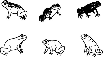 Illustrated Frogs Collection in Black and White