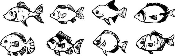 Hand-Drawn Fish Illustrations Collection