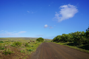 Roads of Rapa Nui, Easter Island, Chile