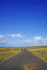 Roads of Rapa Nui, Easter Island, Chile