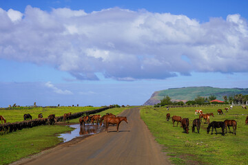 Roads of Rapa Nui, Easter Island, Chile