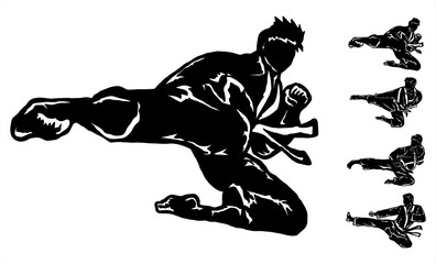 taekwondo karate martial art icon logo illustration