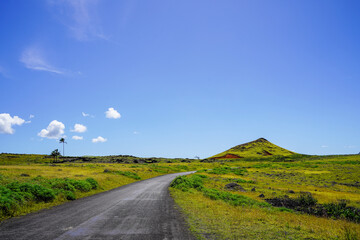 Roads of Rapa Nui, Easter Island, Chile