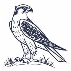 Fototapeta premium eagle vector illustration