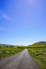 Roads of Rapa Nui, Easter Island, Chile